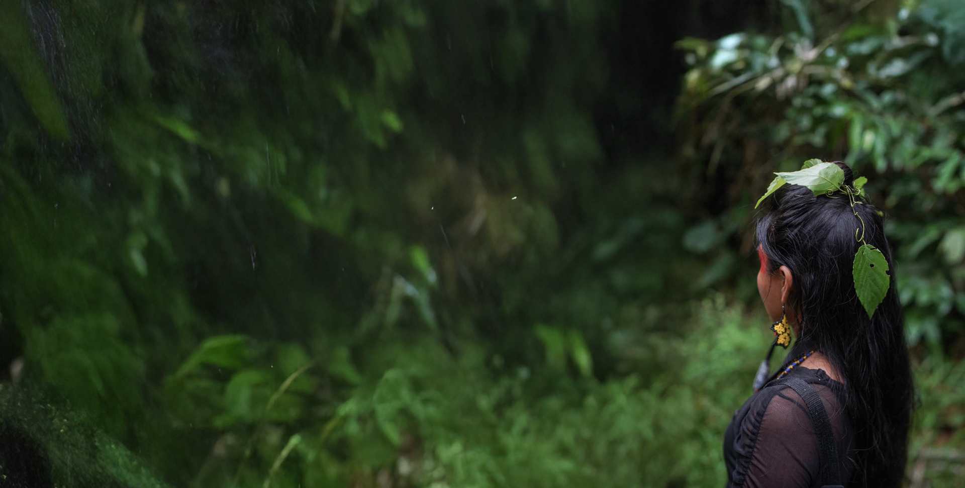 Indigenous guardian standing at the edge of the rainforest